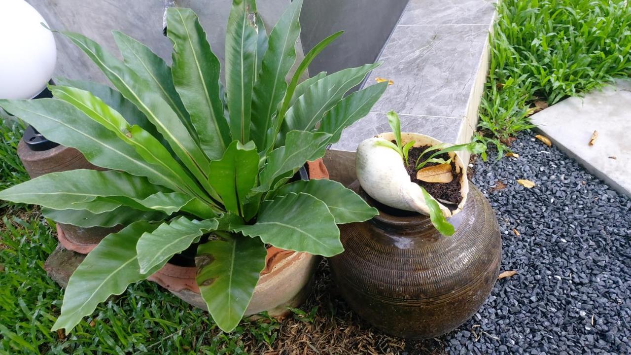 Marin' S Home Thalang Exterior photo